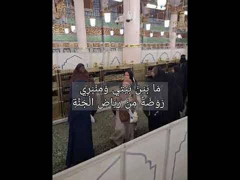 دخول الروضة الشريفة بدون تطبيق نسك وممكن تدخلوا مرتين يوميا