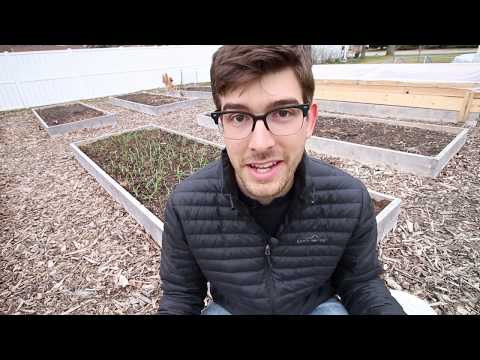 Vidéo: Vermiculite Et Perlite : Quelles Différences ?