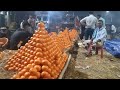 Well decorated orange shop in fruit market  kolkata biggest fruits market