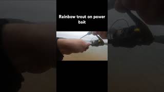 Catching a trout on powerbait #fishing #powerbait #trout #fishing #rainbowtrout