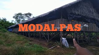 contoh dan modal kandang ayam populasi 5000 ekor