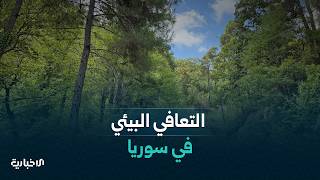 ملف البيئة يتصدر الأولويات في سوريا في ظل التحديات المناخية مع جهود حكومية للتعافي البيئي