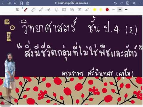 วิทย์ ป.4 (2) เรื่อง สิ่งมีชีวิตกลุ่มที่ไม่ใช่พืชและสัตว์