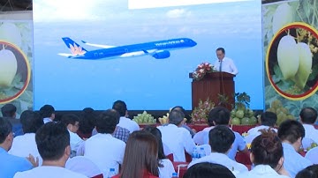 Hãng hàng không Vietnam Airline đưa xoài cát Hòa Lộc Tiền Giang vào xuất ăn cho hàng khách