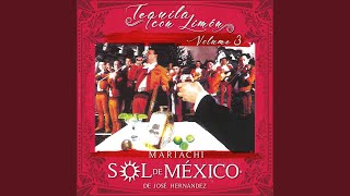 Video thumbnail of "Mariachi Sol De Mexico De Jose Hernandez - Chapala"