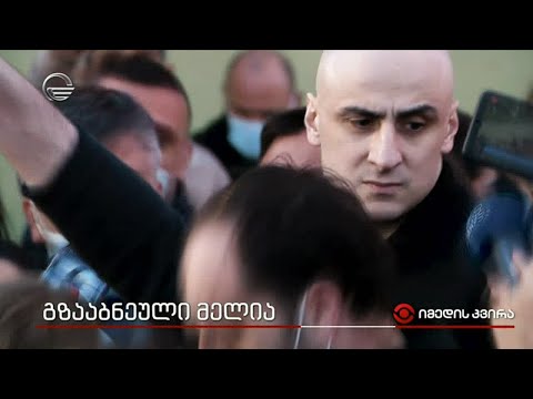 გზააბნეული მელია