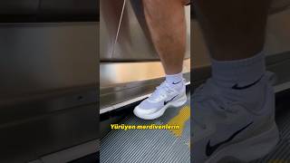 Yürüyen Merdivenlerin Yanındaki Fırça Ne Işe Yarıyor?