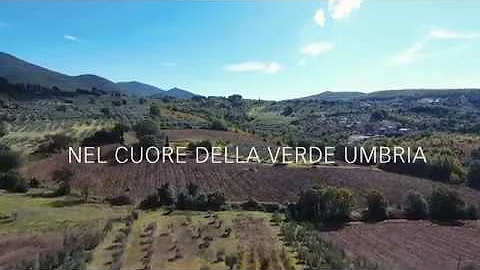 Quali sono i comuni della provincia di Terni?