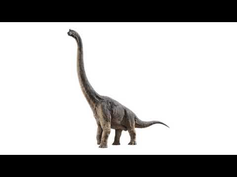 Download Brachiosaurus Sounds
