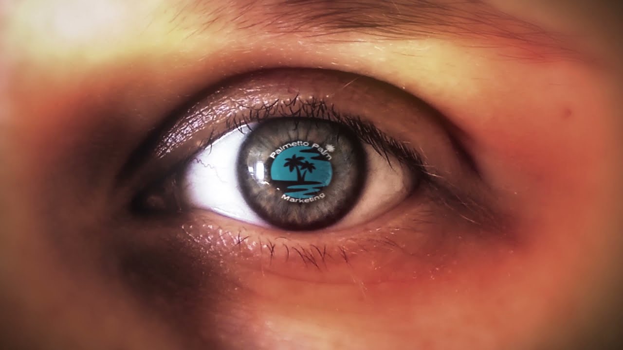 Palmetto Palm Marketing Greenville South Carolina Marketing Company