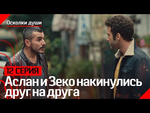 Аслан и Зеко накинулись друг на друга - Осколки души