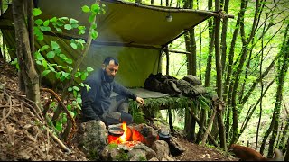 Wild Camping in Mountain Forest  Bushcraft Survival Shelter, Creek Fishing, Camp Cooking, Asmr, Diy