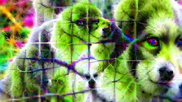 Google DeepDream / Atari 2600 Synthcart