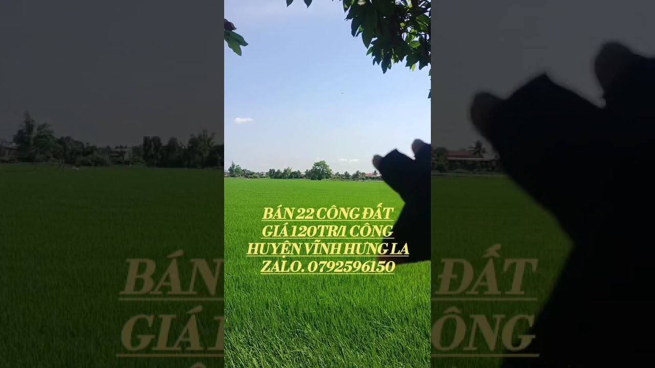 Bán 22 công đất xã Tuyên bình huyện Vĩnh Hưng LA