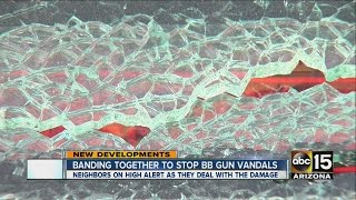 Banding together to stop BB gun vandals