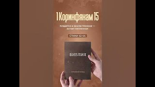 Библия в формате #Shorts - 1 Коринфянам 15, стихи 42-44