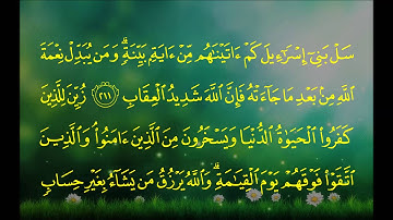 سورة البقرة (الآية 204 ~ الآية 214) - ماهر بن حمد المعيقلي