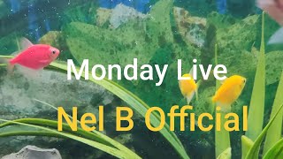 (161) Monday Live 🐟Nel B official