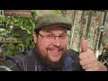LOTRO Price changes to VIP Subscriptions?!?! Horrible? Tips and Info! My thoughts! | A LOTRO update