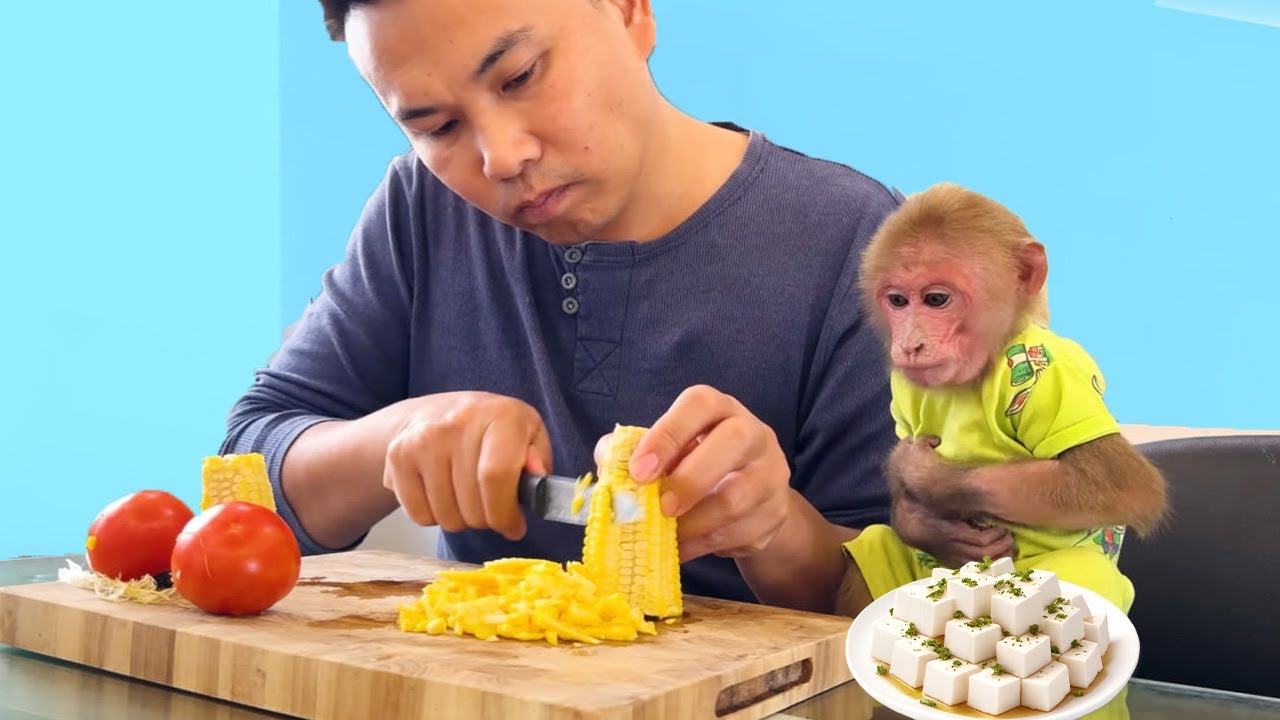 So Yummy! Bibi Craves Tofu and Rushes into the Kitchen to Cook It Himself