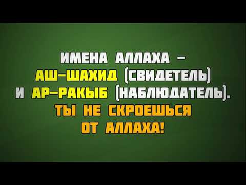 Имена Аллаха - "Аш-Шахид" и "Ар-Ракыб". Ты не скроешься от Аллаха! 30.11.2018 || Абу Яхья Крымский