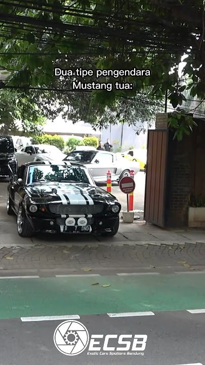 2 TIPE PENGENDARA MUSTANG… WAJIB TAHU 😱 (Shelby GT500 Eleanor Indonesia) #exoticcarsbandung #shorts