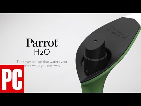 Parrot H2O