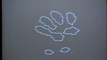 High Resolution Tactile Sensor with Video Signal Output