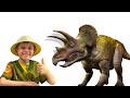 ДИНОЗАВРЫ для мальчиков - Даник играет в палеонтолога и делает раскопки. Dinosaurs for boys. 13+