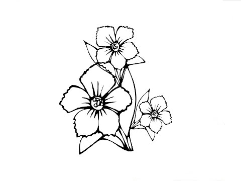 How to Draw a Flowers / Как нарисовать Цветы