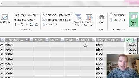 Excel Video 479 Formatting in the Excel Data Model