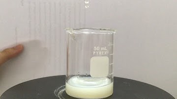 Bicontinuous lamella nanoemulsion