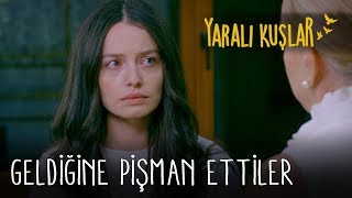 Geldiğine pişman ettiler | Yaralı Kuşlar 136. Bölüm