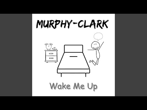 Guarda Wake Me Up su YouTube