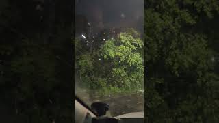 Дерево упало на Касимовское ш. в Рязани 5.07.24 #шортс