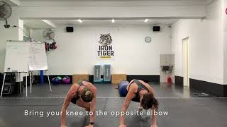 Fitness - Advanced Mountain Climbers