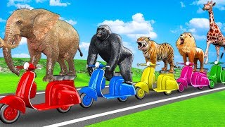 Learn Wild Animals On Scooter Toys For Kids - Animals Drink Fruits Juice | Animals Names & Sounds
