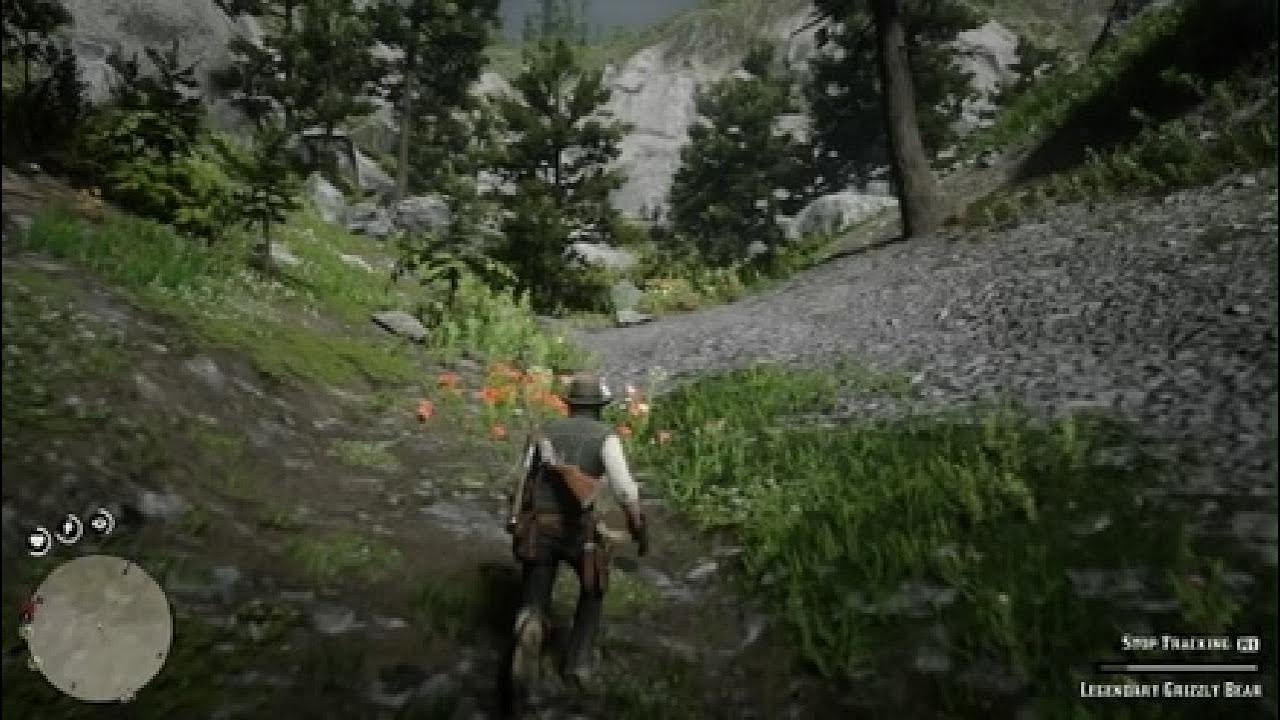 Legendary Bear Hunting | Red Dead Redemption 2