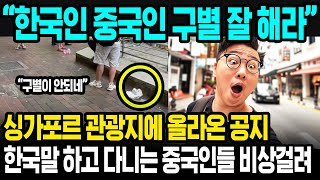 외국에서 한국 국적이라고 사칭하는 중국 관광객들 | 해외반응 | 한국인 중국인 차이점에 대해 설명한 글 | 한국 중국 다른 점