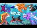 All Evolved Sharks gameplay! Hungry Shark Evolution