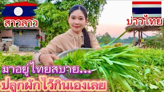 สาวลาว🇱🇦มาอยู่ไทยสบายเลย ผักก็ปลูกกินเอง