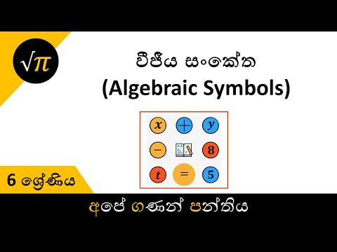 Grade 6 - Algebraic Symbols | 6 ශ්‍රේණිය - වීජීය සංකේත