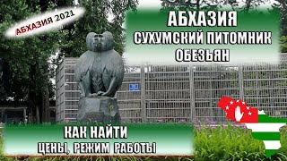 АБХАЗИЯ| Куда сходить в Сухуми? Сухумский обезьяний питомник