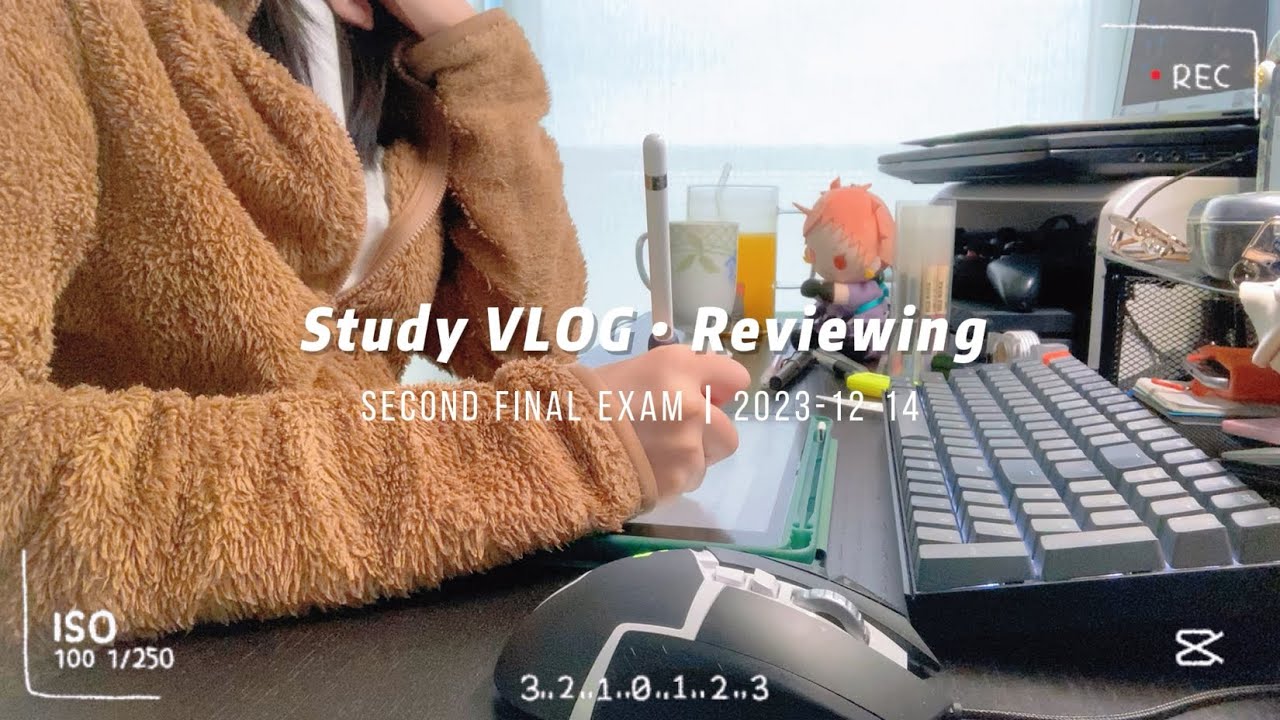 study vlog 2 #fyp #study #vienna #vlog #vlogs #studyvlog #vlogger