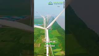 Lo que No Sabías de la Energía Eólica