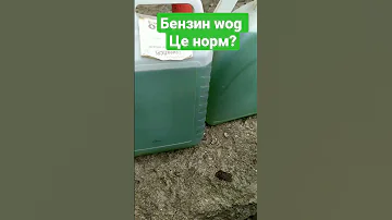 #shorts #бензин #wog синій чи зелений?