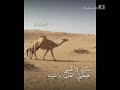 يا بكرتي لا تحنيني هجينيه 