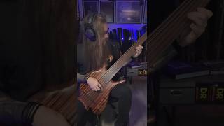 The grass is always greener on the other side 🔨💐#primussucks #lesclaypool #basscover Kello Gonzalez