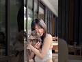 犬いつか飼ってみたい…🐶#月野もも
