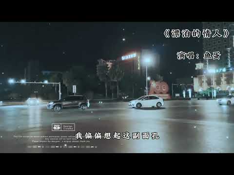 鱼蛋《漂泊的情人》太好听了！